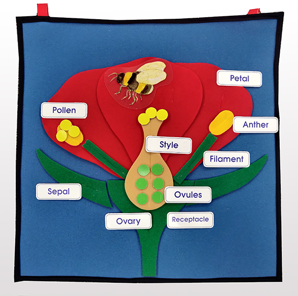 View resource