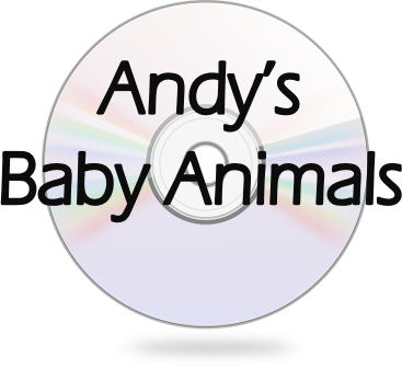 View resource