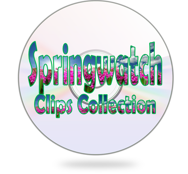 View resource
