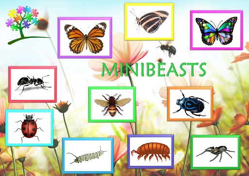 View resource