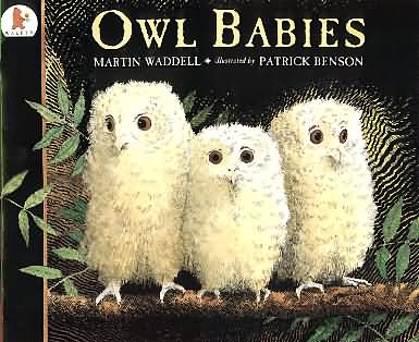 Resource image for Owl Babies by Martin Waddell (6 COPIES)