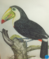 View resource